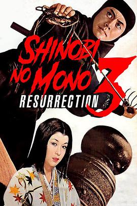 新忍者 新・忍びの者.1963 字幕下载