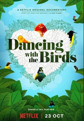 与鸟共舞 Dancing with the Birds.2019 字幕下载