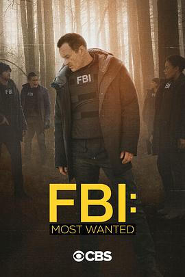 联邦调查局：通缉要犯 第二季 FBI: Most Wanted Season 2.2020 字幕下载
