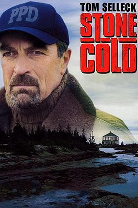 铁血证据 Stone Cold.2005 字幕下载