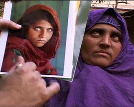 寻找阿富汗少女 Search for the Afghan Girl.2003 字幕下载