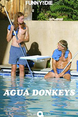 水驴清洁公司 Agua Donkeys.2020 字幕下载