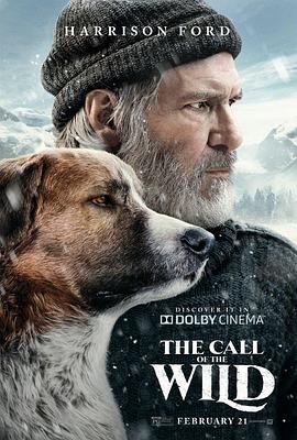 野性的呼唤 The Call of the Wild.2020 字幕下载