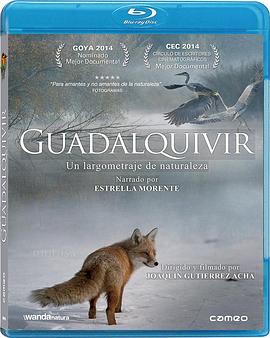 瓜达尔基维尔河 Guadalquivir.2013 字幕下载