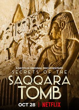 塞加拉陵墓揭秘 Secrets of the Saqqara Tomb.2020 字幕下载
