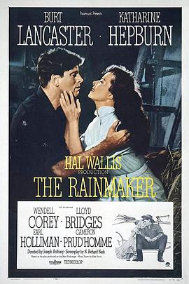 雨缘 The Rainmaker.1956 字幕下载