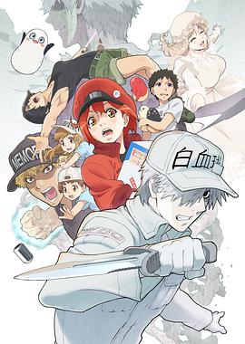 工作细胞 第二季 はたらく細胞!!.2021 字幕下载