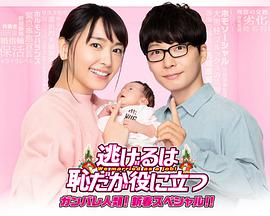 逃避虽可耻但有用 新春特别篇 逃げるは恥だが役に立つ ガンバレ人類! 新春スペシャル!!.2021 字幕下载