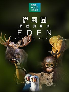 伊甸园：最后的秘境 Eden: Untamed Planet.2021 字幕下载
