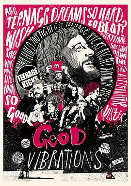 美妙共振 Good Vibrations.2012 字幕下载