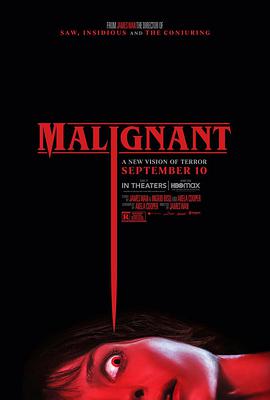 致命感应 Malignant.2021 字幕下载