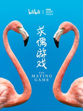 求偶游戏 The Mating Game.2021 字幕下载