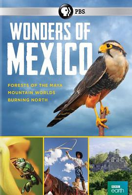 墨西哥奇观 Wonders of Mexico Season 1.2018 字幕下载