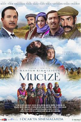 爱之奇迹 Mucize.2015 字幕下载