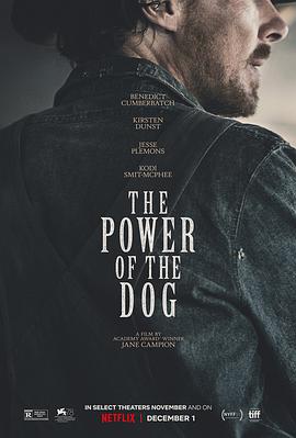 犬之力 The Power of the Dog.2021 字幕下载