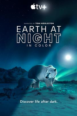 夜色中的地球 第二季 Earth at Night in Color Season 2.2021 字幕下载