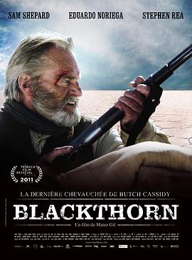 黑荆棘 Blackthorn.2011 字幕下载
