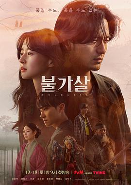 不可杀 불가살.2021 字幕下载