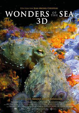 奇妙的海洋 Wonders of the Sea 3D.2017 字幕下载