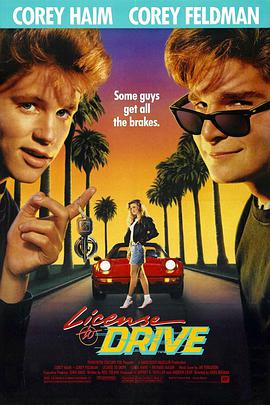 驾驶执照 License to Drive.1988 字幕下载