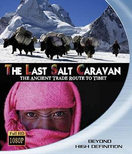 最后的盐道 The Last Salt Caravan.2009 字幕下载