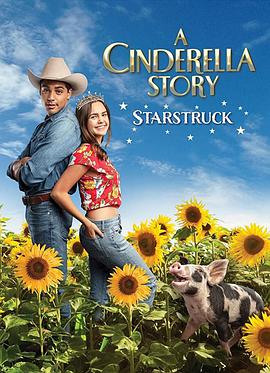 灰姑娘的故事：明星之恋 A Cinderella Story: Starstruck.2021 字幕下载