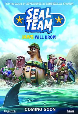 海豹自卫队 Seal Team.2021 字幕下载