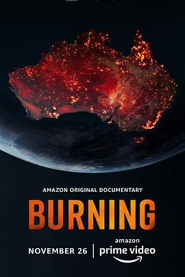 燃烧 Burning.2021 字幕下载