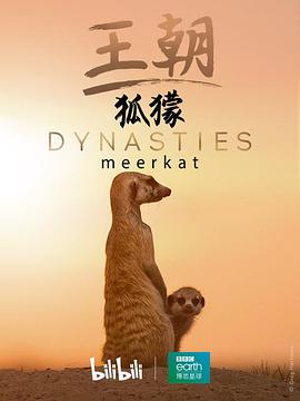 王朝：狐獴特辑 Dynasties: Meerkat Special.2020 字幕下载