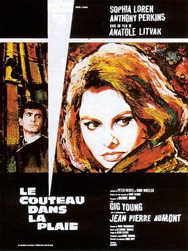 黑夜五哩行 Le couteau dans la plaie.1962 字幕下载