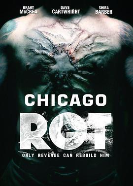 暗黑破坏芝加哥 Chicago Rot.2015 字幕下载