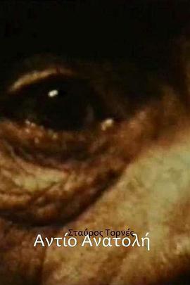 Addio Anatolia .1976 字幕下载