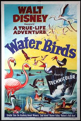 水鸟 Water Birds.1952 字幕下载