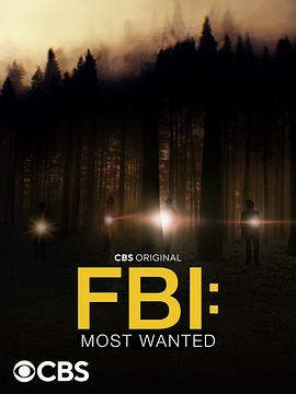 联邦调查局：通缉要犯 第四季 FBI: Most Wanted Season 4.2022 字幕下载