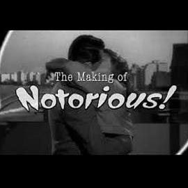 终极浪漫：《美人计》制作花絮 The Ultimate Romance: The Making of 'Notorious'.2008 字幕下载