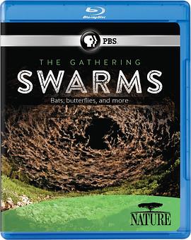 自然界的群体智慧 Nature: The Gathering Swarms.2014 字幕下载