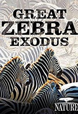 斑马大迁徙 Nature Great Zebra Exodus.2013 字幕下载