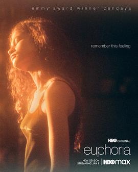 亢奋 第二季 Euphoria Season 2.2022 字幕下载