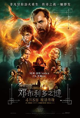 神奇动物：邓布利多之谜 Fantastic Beasts: The Secrets of Dumbledore.2022 字幕下载
