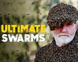 群居动物的疯狂世界 Ultimate Swarms.2013 字幕下载