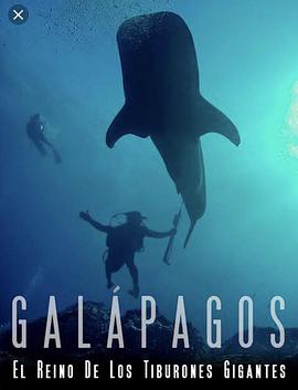 加拉帕戈斯群岛：巨大鲨鱼王国 Galapagos: Realm of Giant Sharks.2012 字幕下载