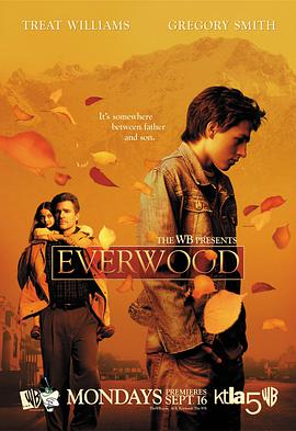 雪山镇 第一季 Everwood Season 1.2002 字幕下载