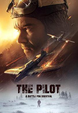 飞行员.生存之战 The Pilot. A Battle for Survival.2021 字幕下载