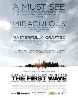 第一波 The First Wave.2021 字幕下载