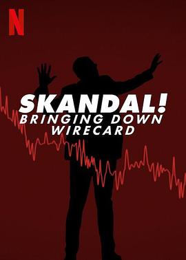 金融丑闻：揭发Wirecard诈骗案 Skandal! Bringing Down Wirecard.2022 字幕下载