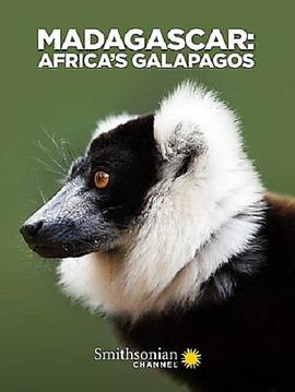 非洲的加拉帕戈斯 Madagascar: Africa's Galapagos.2019 字幕下载