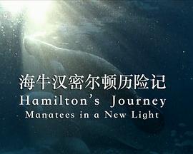 汉密尔顿的旅程-海牛的新视角 Hamilton's Journey: Manatees in a New Light.2014 字幕下载