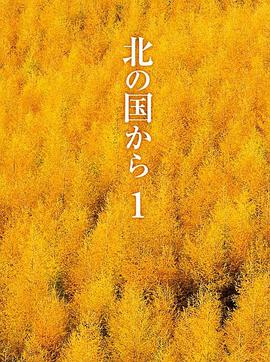 北国之恋 北の国から.1981 字幕下载