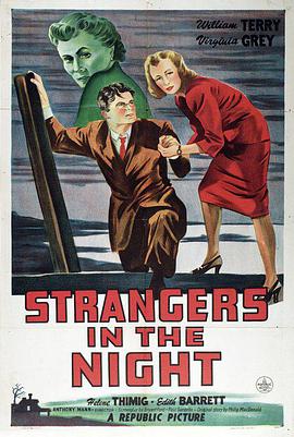 夜间来客 Strangers in the Night.1944 字幕下载