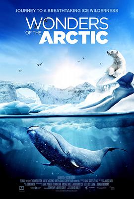 北极奇观 Wonders of the Arctic.2014 字幕下载